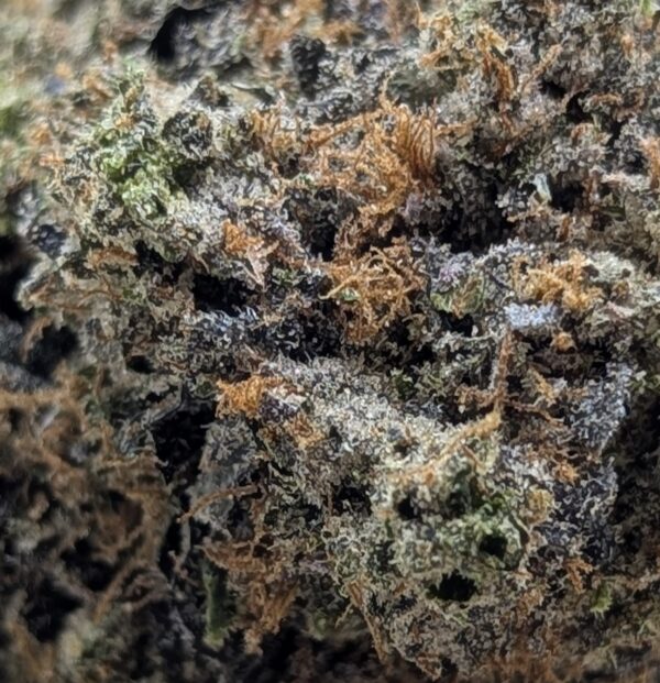purple tonic