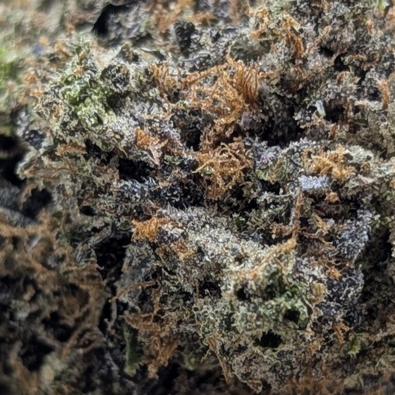 purple tonic