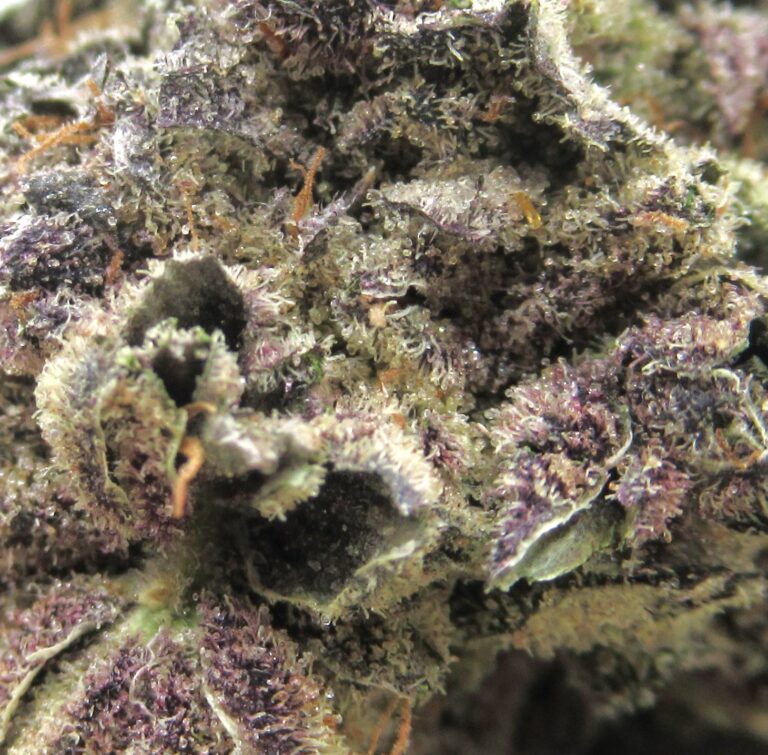 purple space cookies