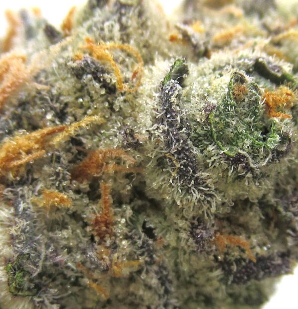 sunset sherbet