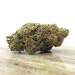 girl scout cookies