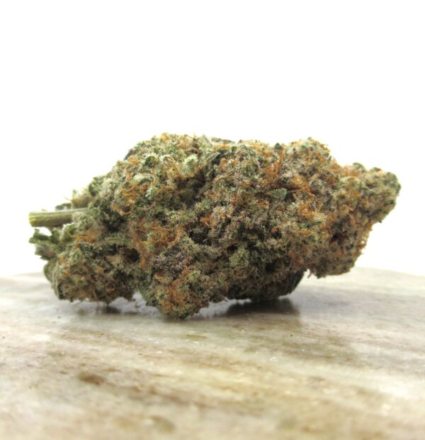 girl scout cookies