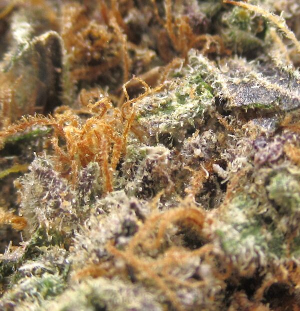 God's Green Crack