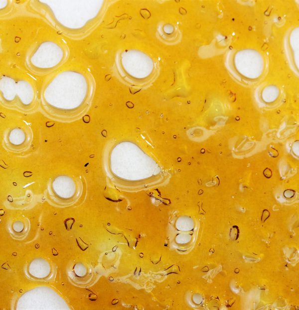 True North Shatter