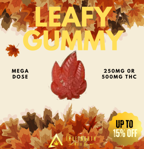 LEAFY GUMMY