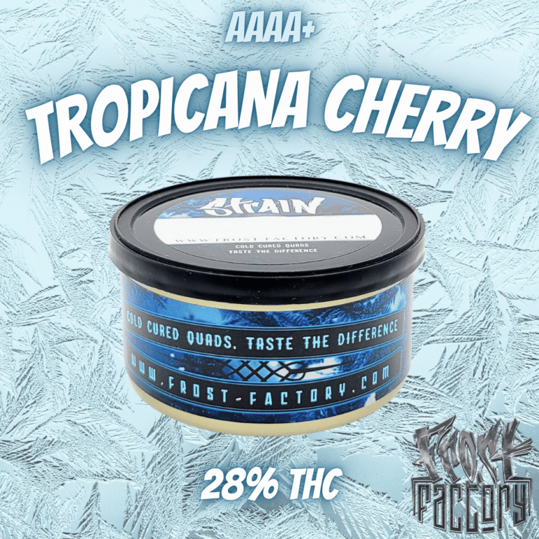 cold cured quads