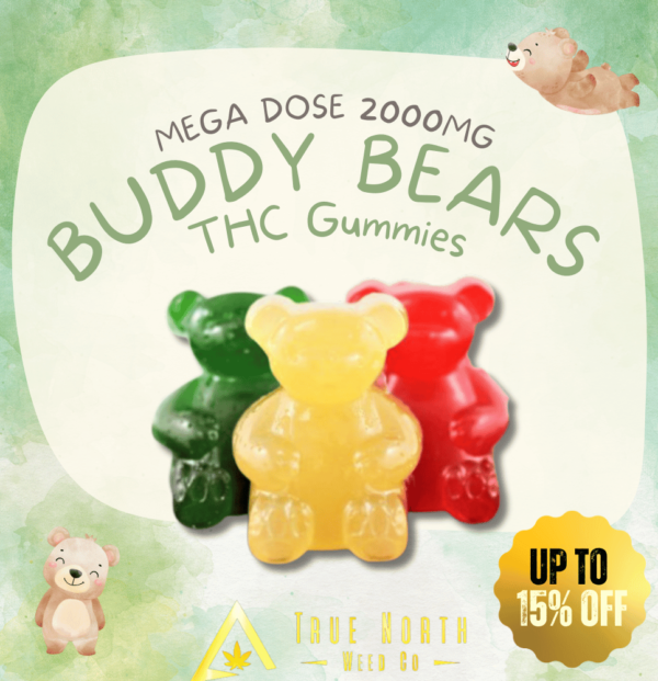 buddy bears