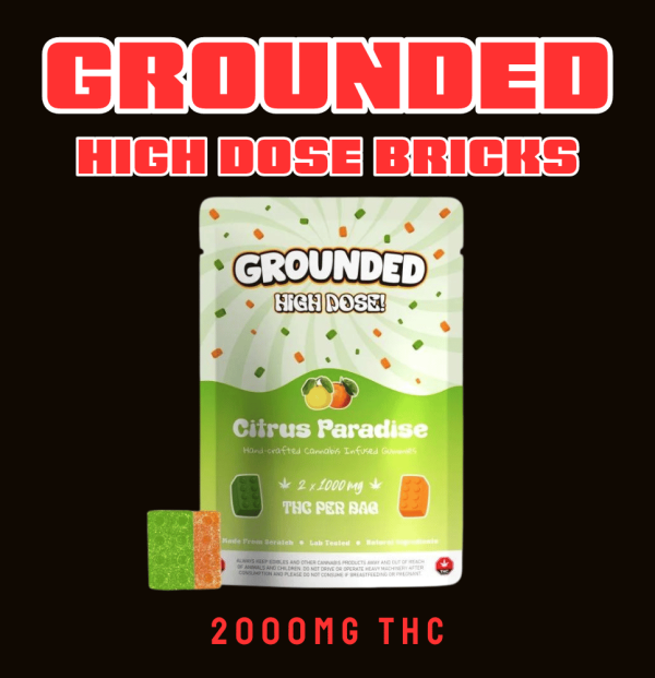grounded high dose bricks