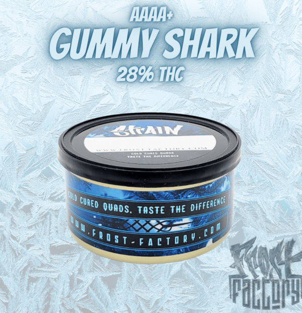 gummy shark