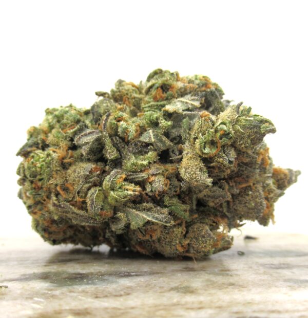 west coast diesel