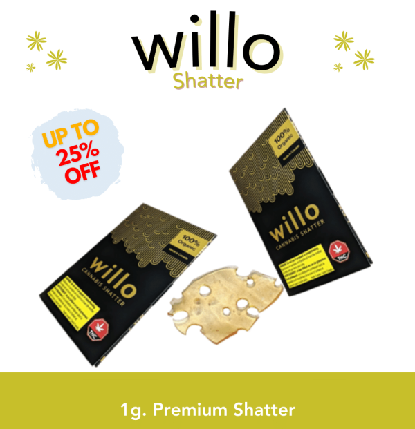 willo shatter