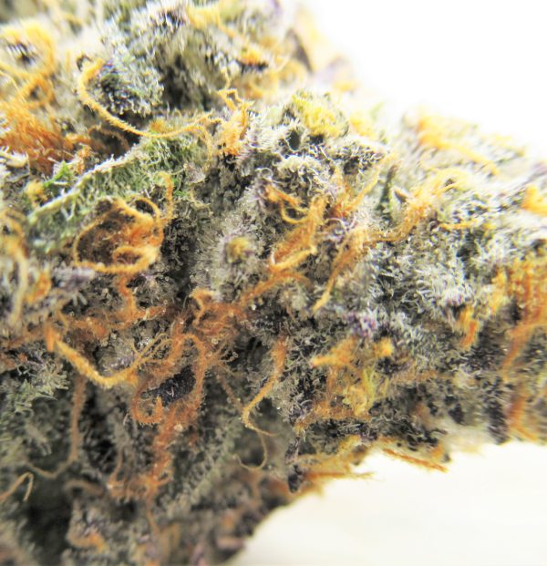 Makaveli OG