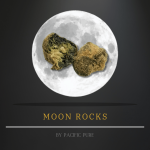 MOON ROCKS