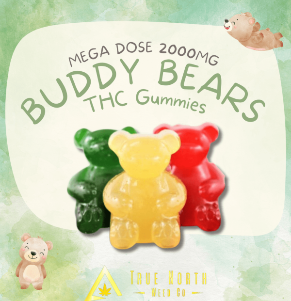 buddy-bears