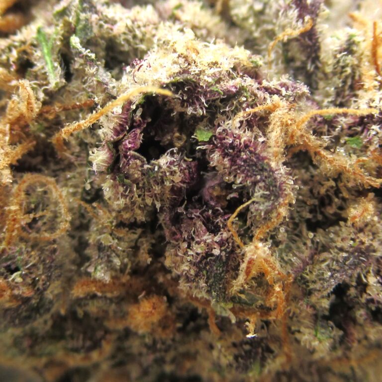 purple cookies