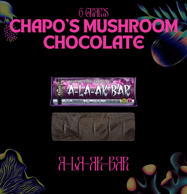 chapo's mushroom chocolate