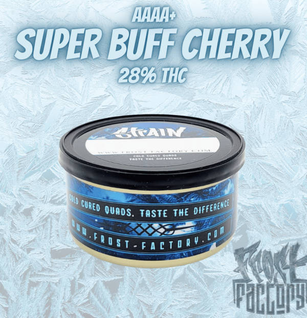 Super Buff Cherry