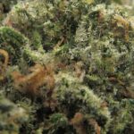 bubba kush