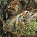 trainwreck