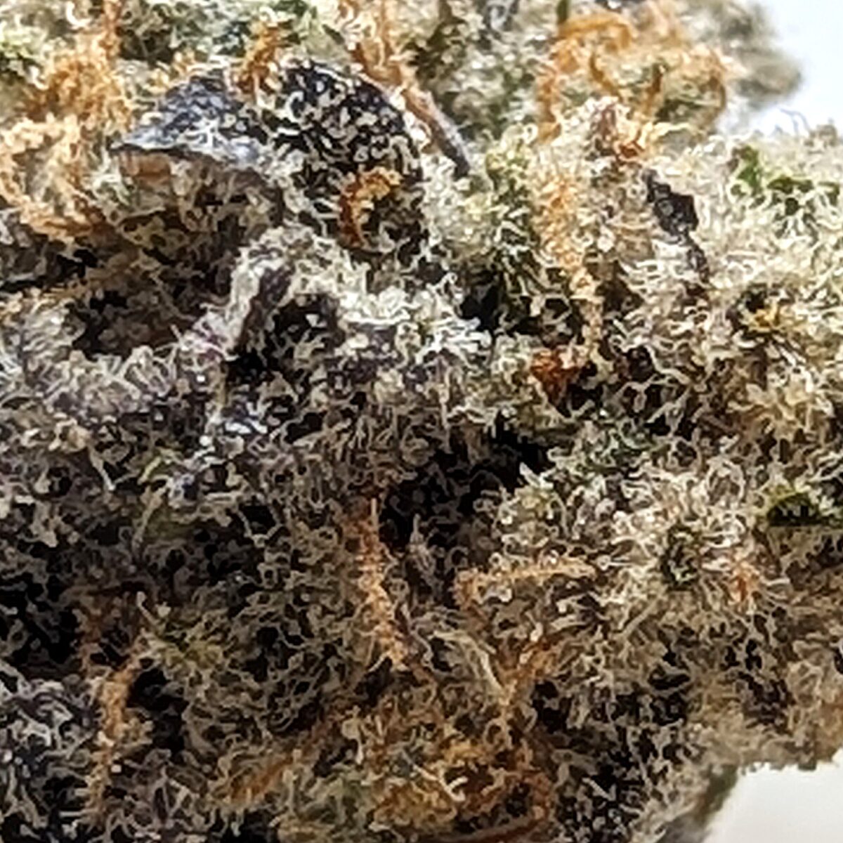 banana split