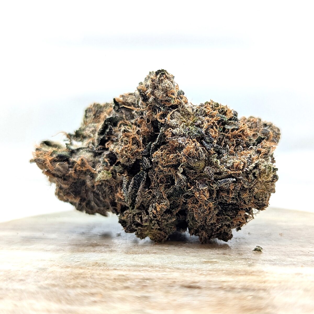 mendocito purp