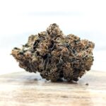 mendocito purp