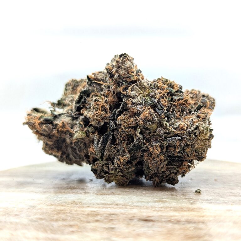 mendocito purp