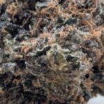mendocito purp