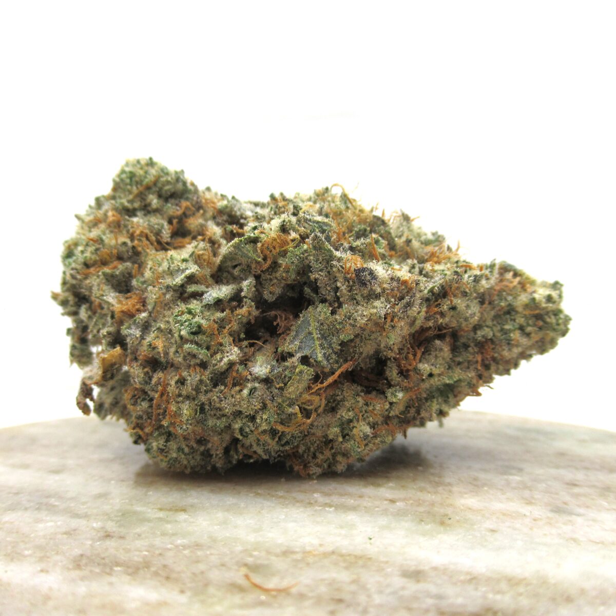 girl scout cookies