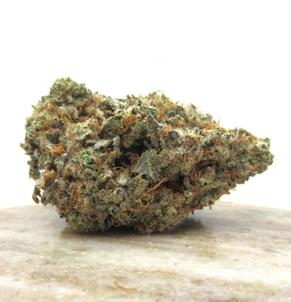 girl scout cookies