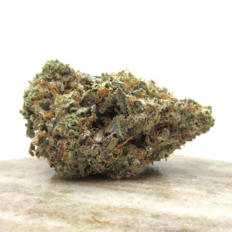 girl scout cookies