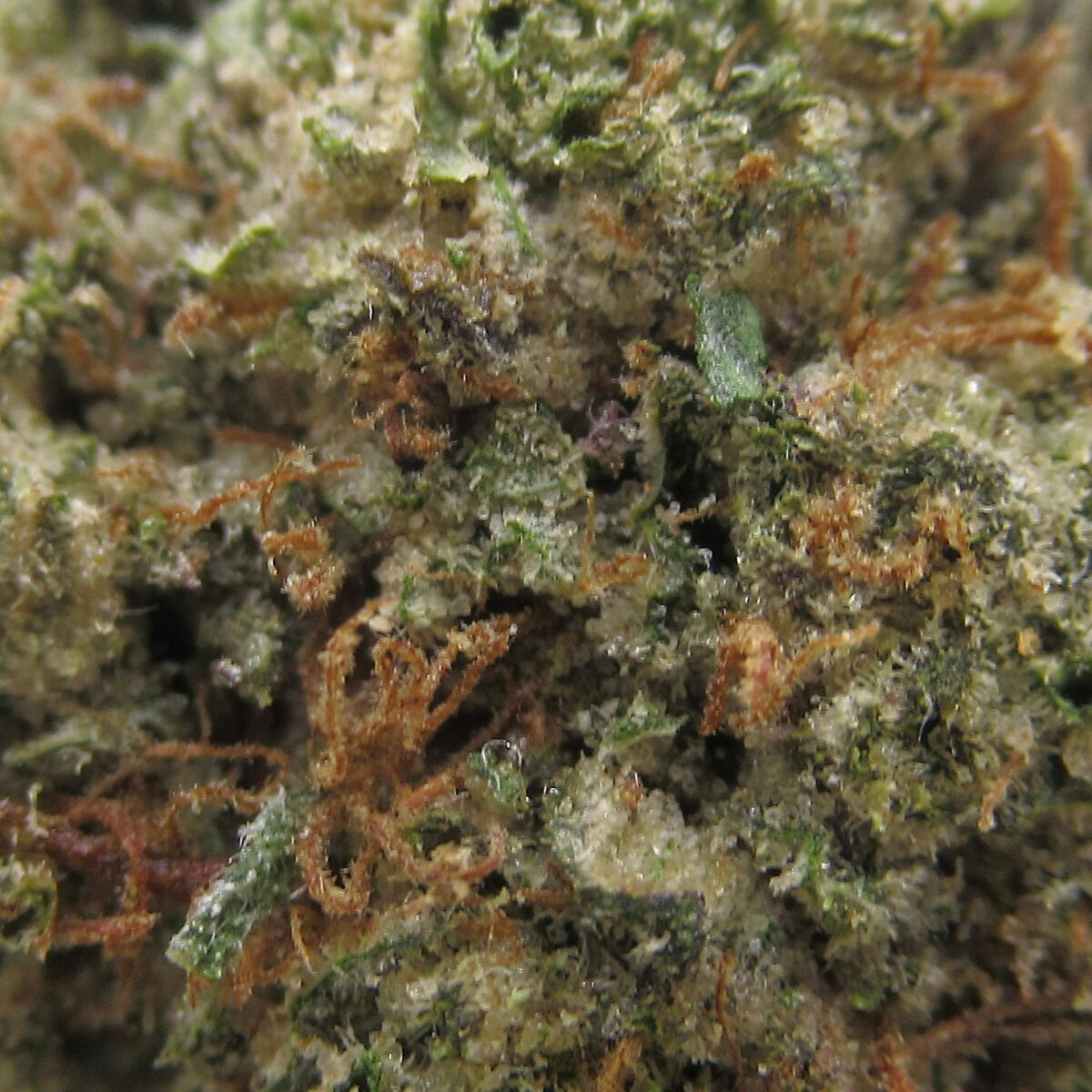 gas cake