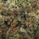 gas cake