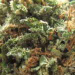 private og