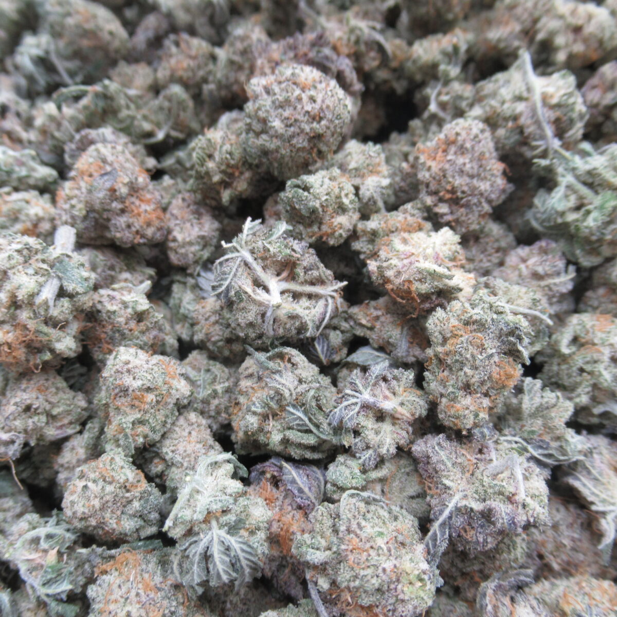 lemon kush smalls