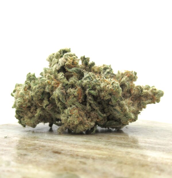 snow white