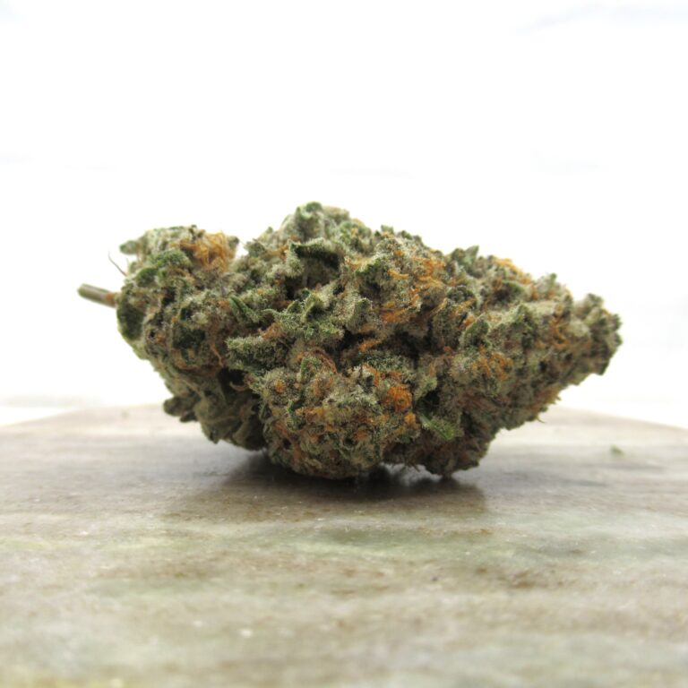MAC1
